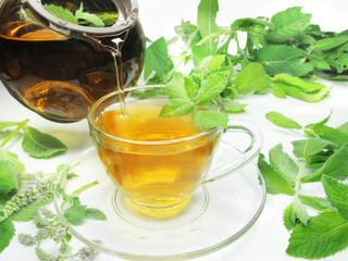 pouring tea with mint herb