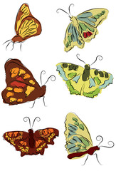 set of abstract sketched butterflies - 24109306