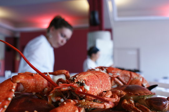Zoom sur un Homard provenant d'un ensemble de Fruits de mer