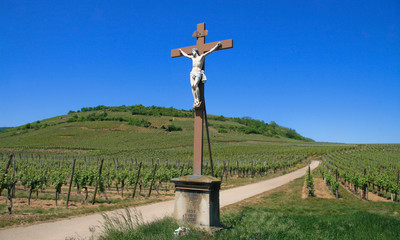 Fototapeta na wymiar Crucifix with statue of Jesus Christ in a vineyard in Alsace