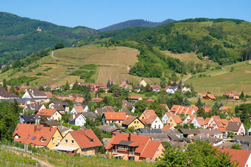 Village surrounded by vineyards in Alsace, France