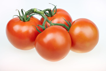 Juicy tomatoes isolated