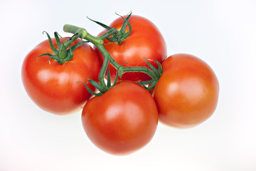 Juicy tomatoes isolated