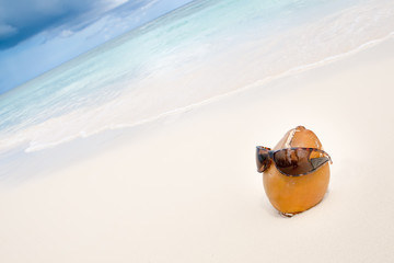 Coconut in sun glasses on the white sand beach