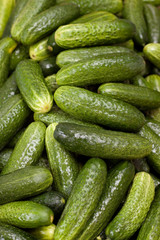 Green cucumbers background