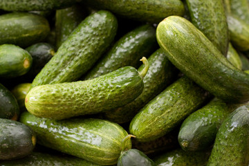 Green cucumbers background