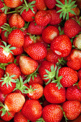 erdbeeren