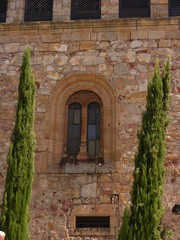 Fototapeta na wymiar Convento de las Dueñas (Salamanca)