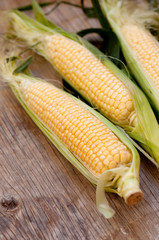 Fresh corn on wooden surface