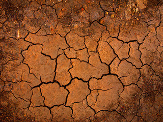Dry earth texture