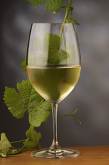 Vino bianco