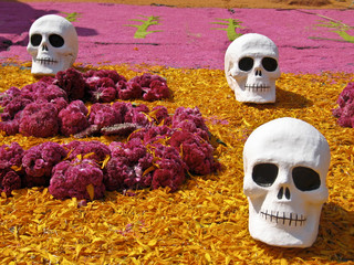 dia de muertos