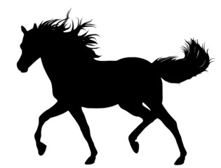 Fototapeta na wymiar running horse silhouette
