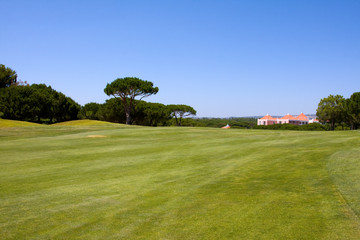 A beautiful Golf Course Green on a lovely suny day