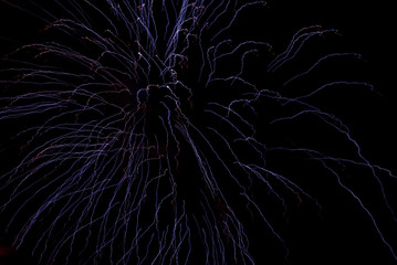 Ghostly Blue Night Swarm