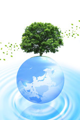 木と地球