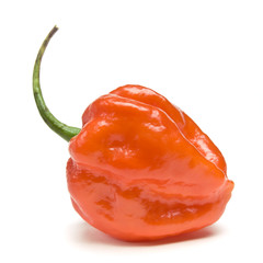 Red Hot Chilli