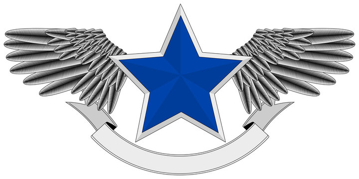 winged blue star logo