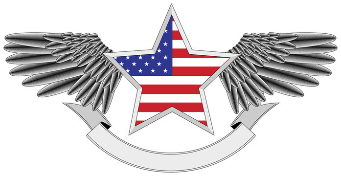 winged star with the U.S. flag