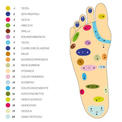 riflessologia plantare