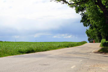 Wind turbines far away, seen in the fields
