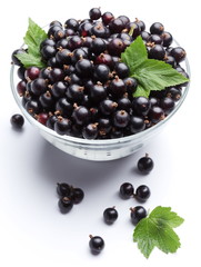 Crockery with black currant.