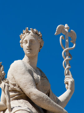 caduc&eacute;e