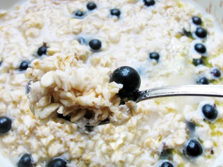 oatmeal porridge with black currents and honey