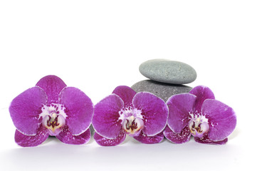 pyramid of stones with pink orchid –spa background