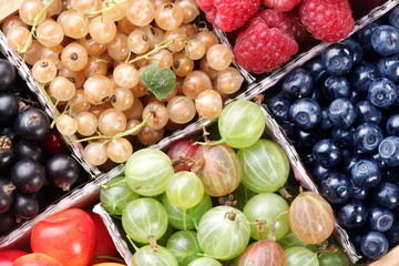 Clourful berries