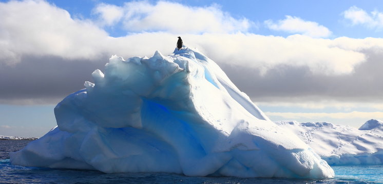 Iceberg with penguin on top in Antarctica.