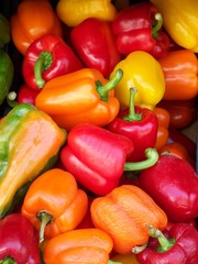 Poivrons multicolores