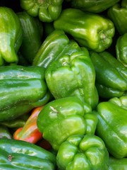 Poivrons verts
