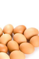 brown eggs