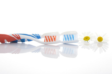 Tooth brush with paste and chamomile