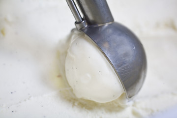 Scoop of vanilla