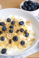Müsli mit Früchten in einer weissen Schale