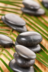 black stones and green leaf