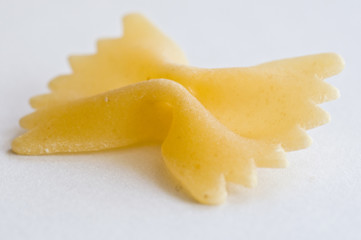 macro farfalle