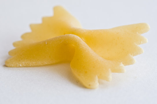 macro farfalle