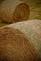 Hay Bales on farmland