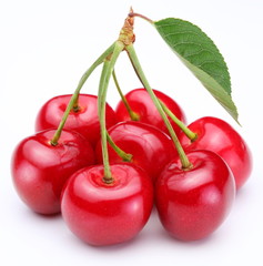 Cherries on a white background