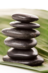 black stones and green leaf