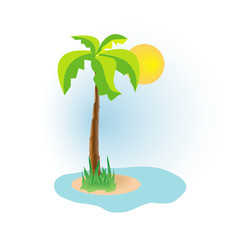 palm on island