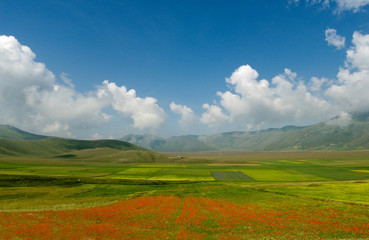 castelluccio 01