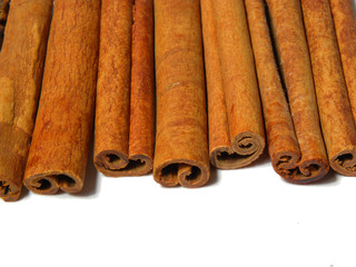 Cinnamon isolated on a white background