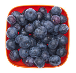 Blueberries in a Vibrant Orange Bowl