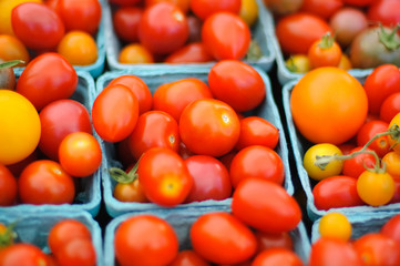Tomatoes in the boxes