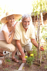 Senior Couple Relaxing In Garden