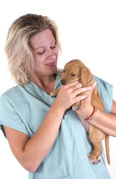 v&eacute;t&eacute;rinaire qui osculte un chiot